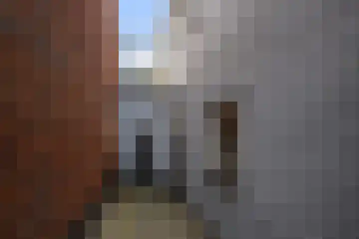 Westzijde 145 A Zaandam thumbnail 33