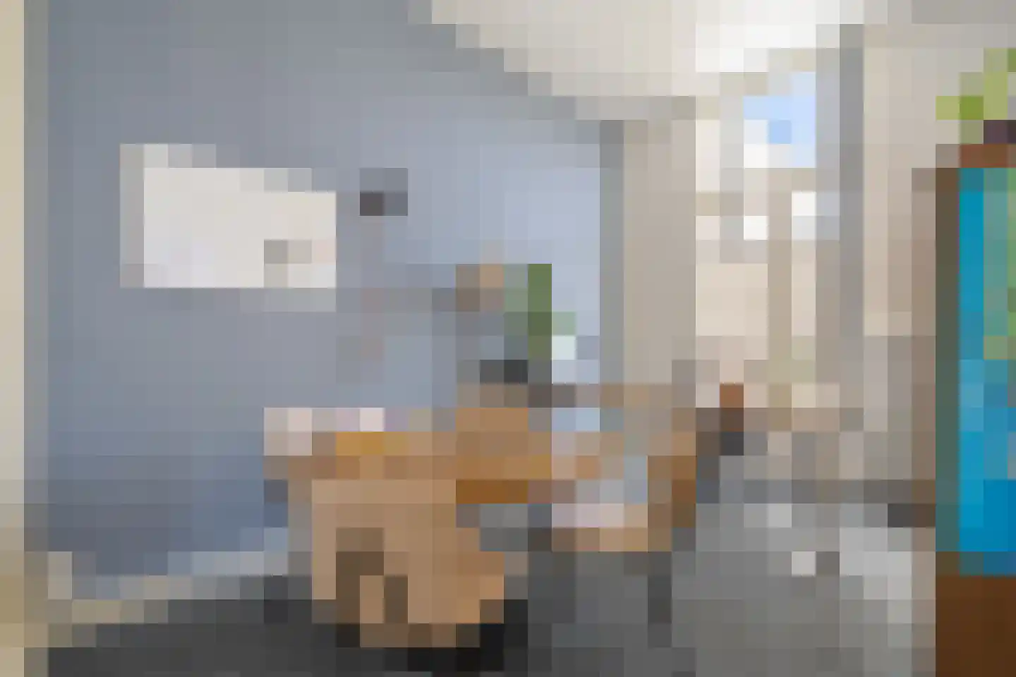 Westzijde 146 Zaandam thumbnail 24