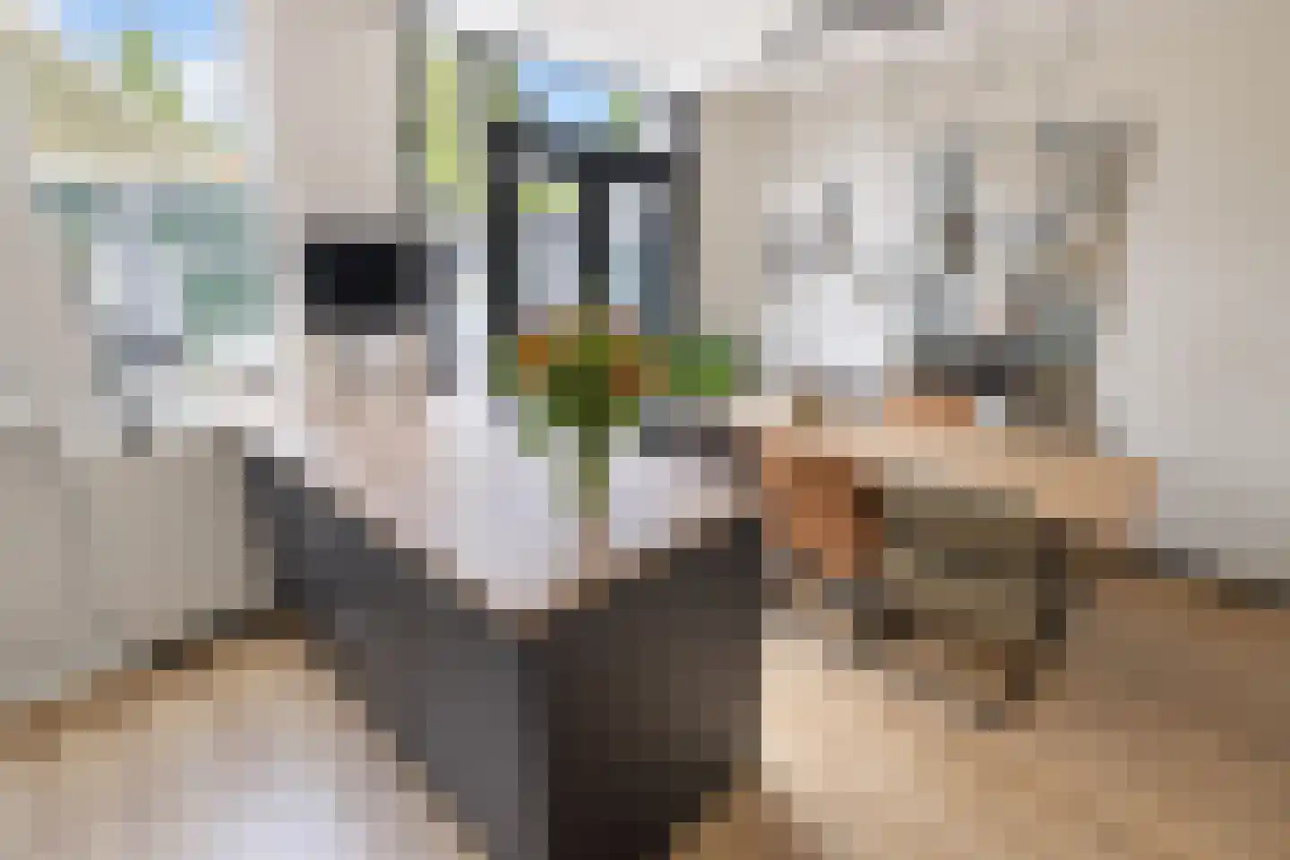 Westzijde 149 Zaandam thumbnail 16