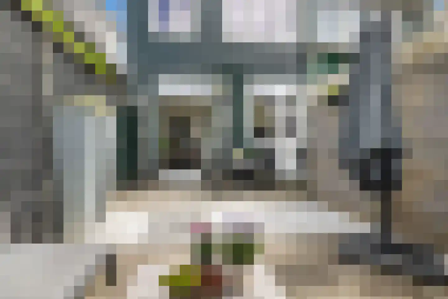 Westzijde 149 Zaandam thumbnail 26