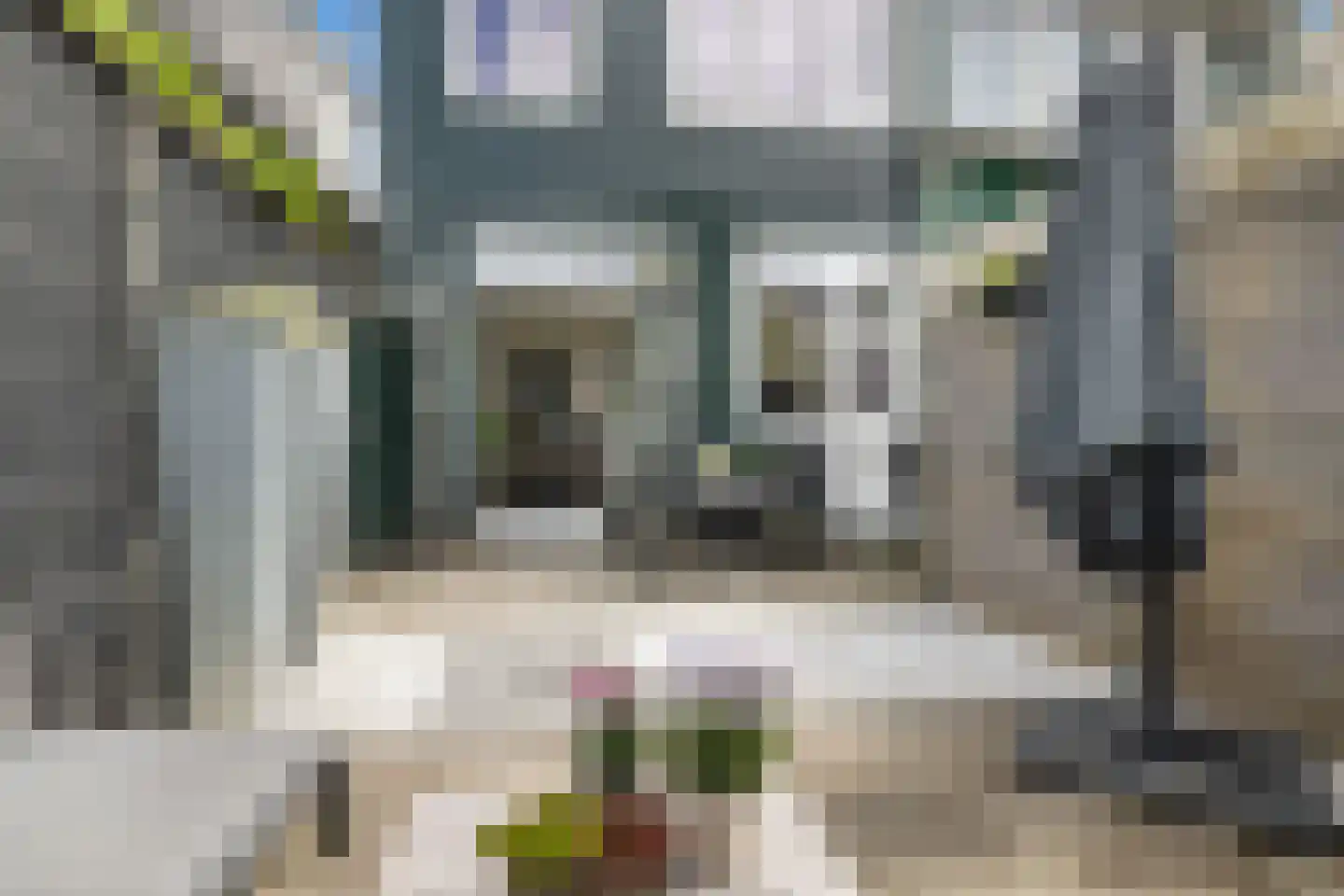 Westzijde 149 Zaandam thumbnail 26