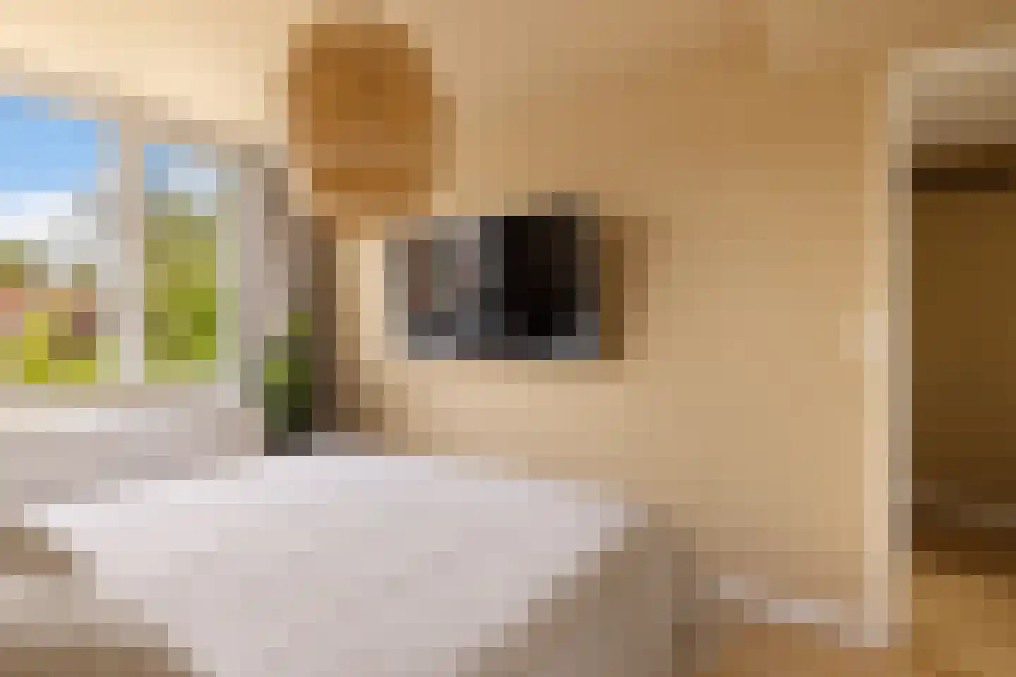 Westzijde 149 Zaandam thumbnail 33
