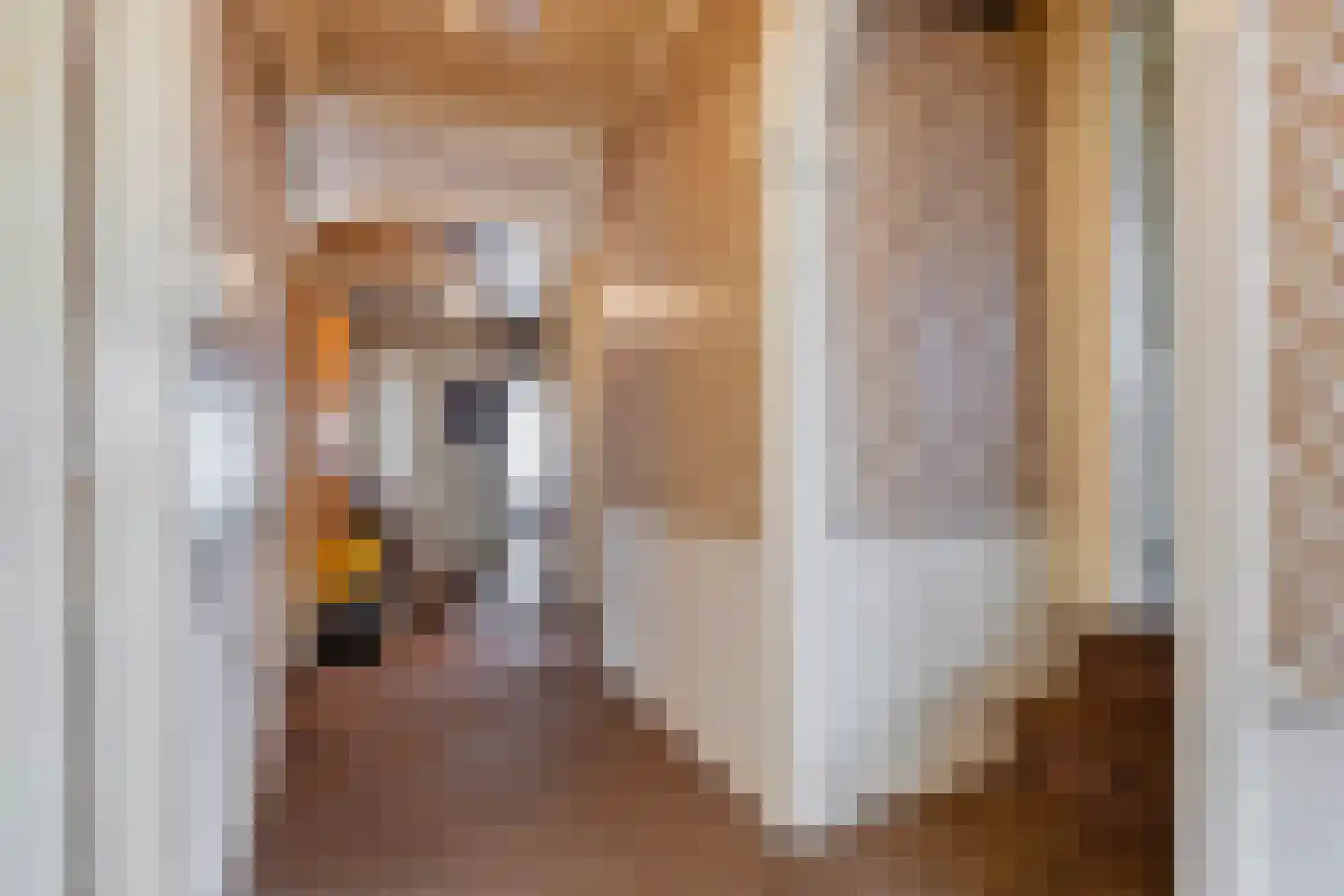 Westzijde 155 Zaandam thumbnail 8
