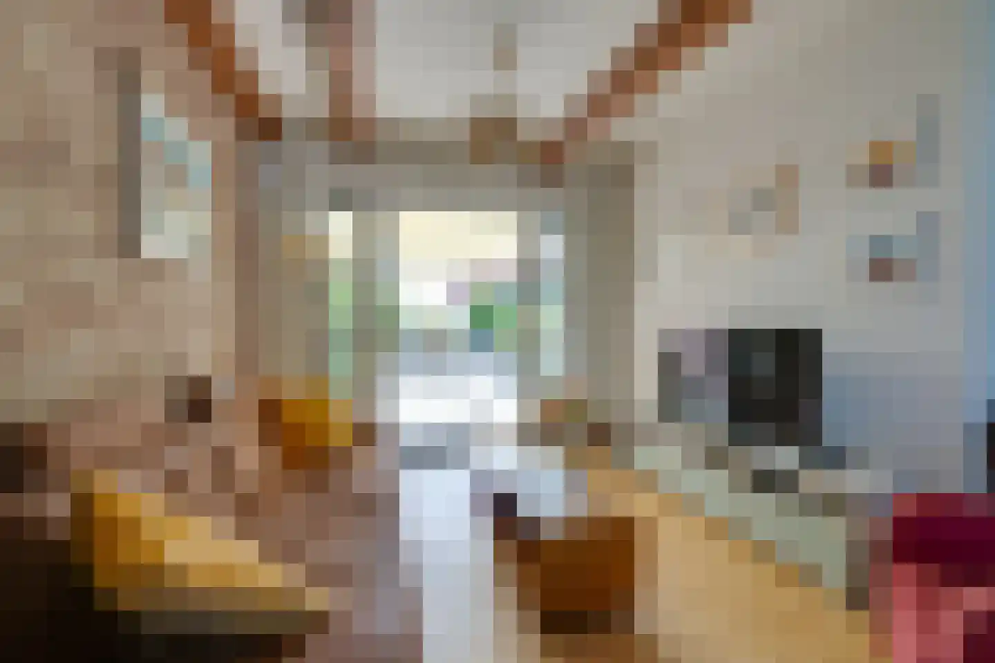 Westzijde 210 Zaandam thumbnail 15