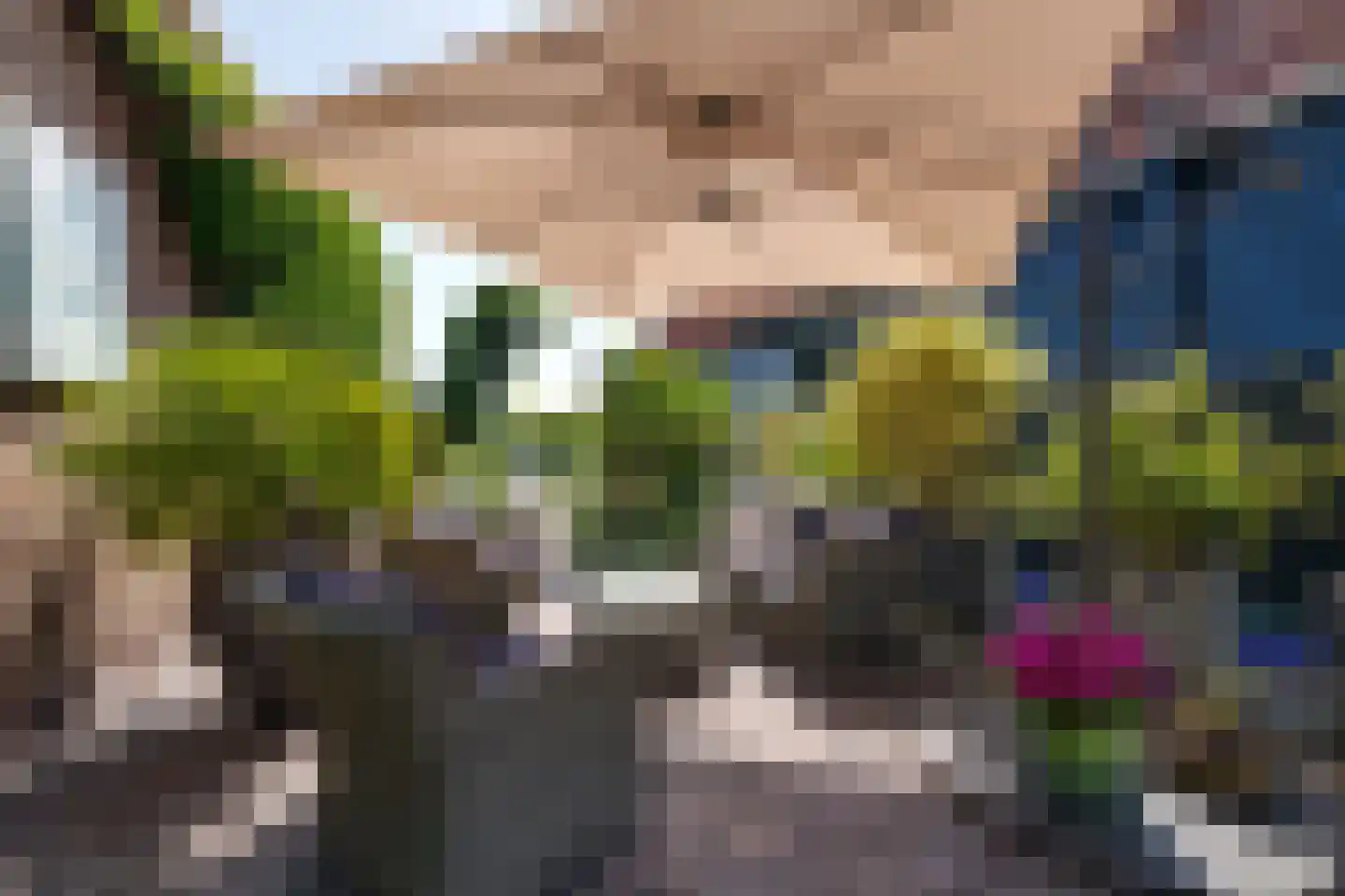 Westzijde 210 Zaandam thumbnail 32