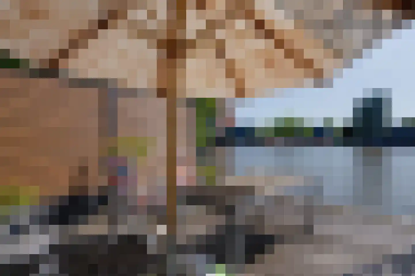 Westzijde 210 Zaandam thumbnail 35