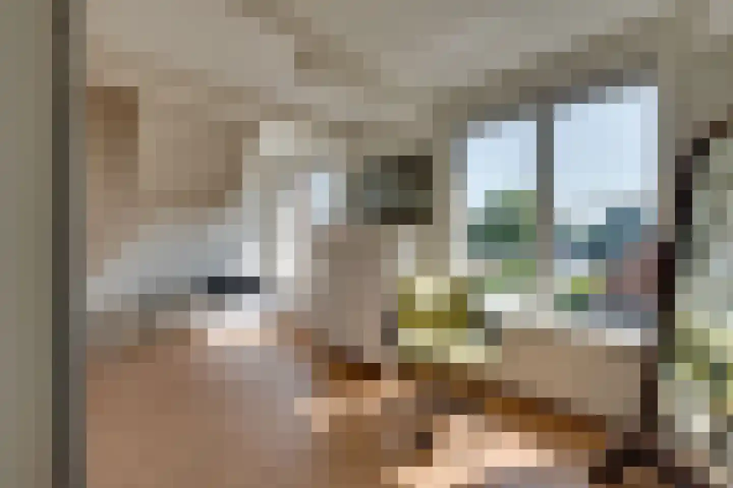 Westzijde 210 Zaandam thumbnail 45