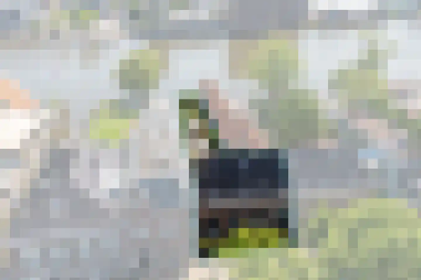 Westzijde 210 Zaandam thumbnail 5