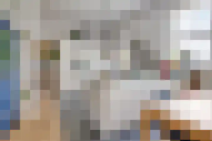 Westzijde 213 E Zaandam thumbnail 10