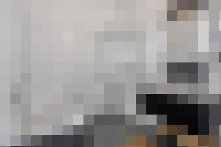 Westzijde 213 E Zaandam thumbnail 20