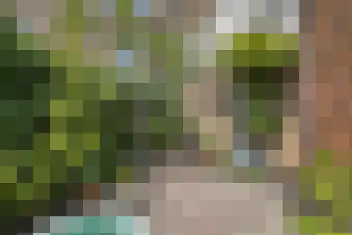Westzijde 213 E Zaandam thumbnail 25