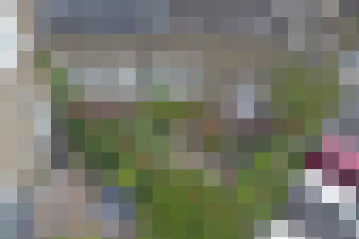 Westzijde 213 E Zaandam thumbnail 26