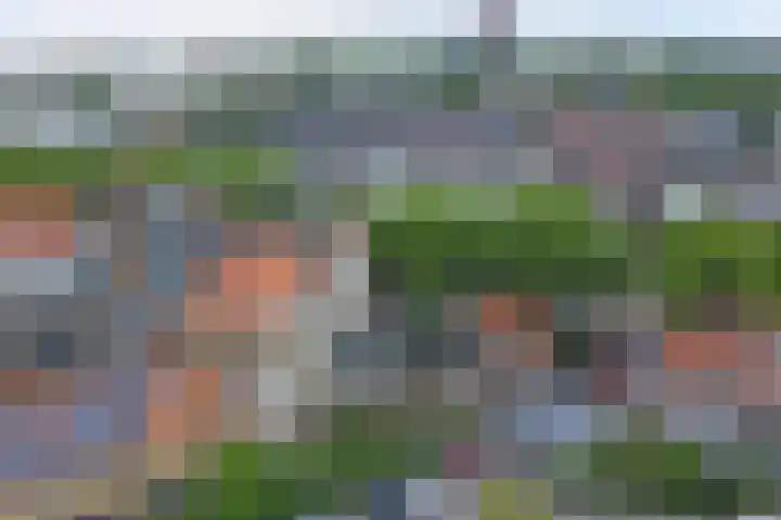 Westzijde 213 E Zaandam thumbnail 28