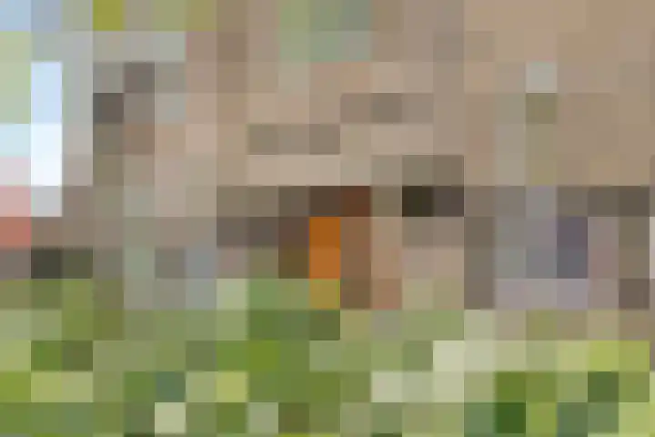 Westzijde 213 E Zaandam thumbnail 31