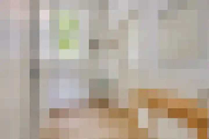 Westzijde 213 E Zaandam thumbnail 7