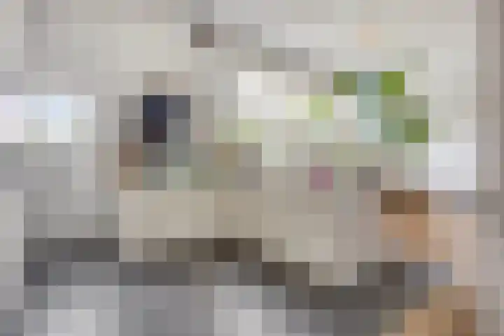 Westzijde 213 E Zaandam thumbnail 9