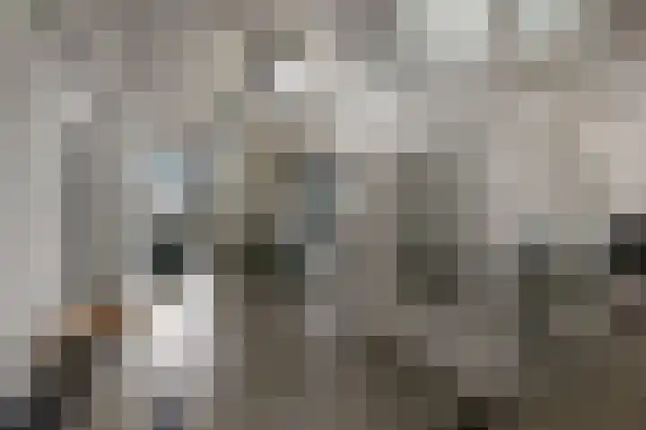 Westzijde 213 F 5 Zaandam thumbnail 23