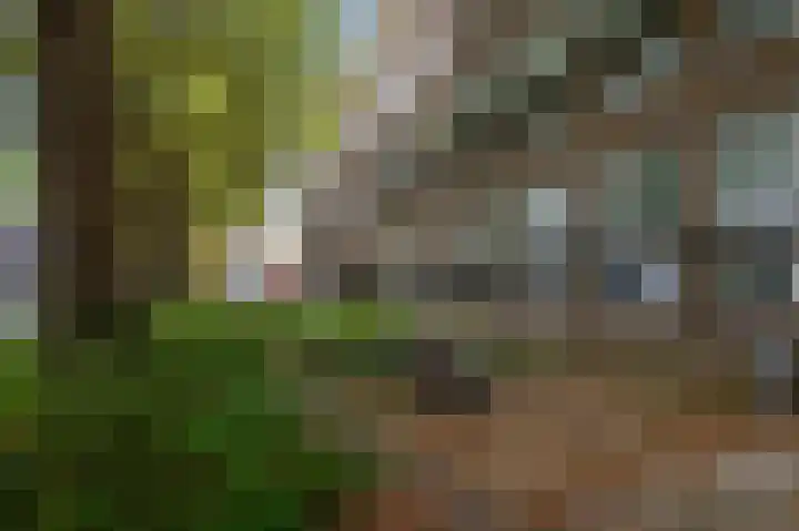 Westzijde 213 F 5 Zaandam thumbnail 29