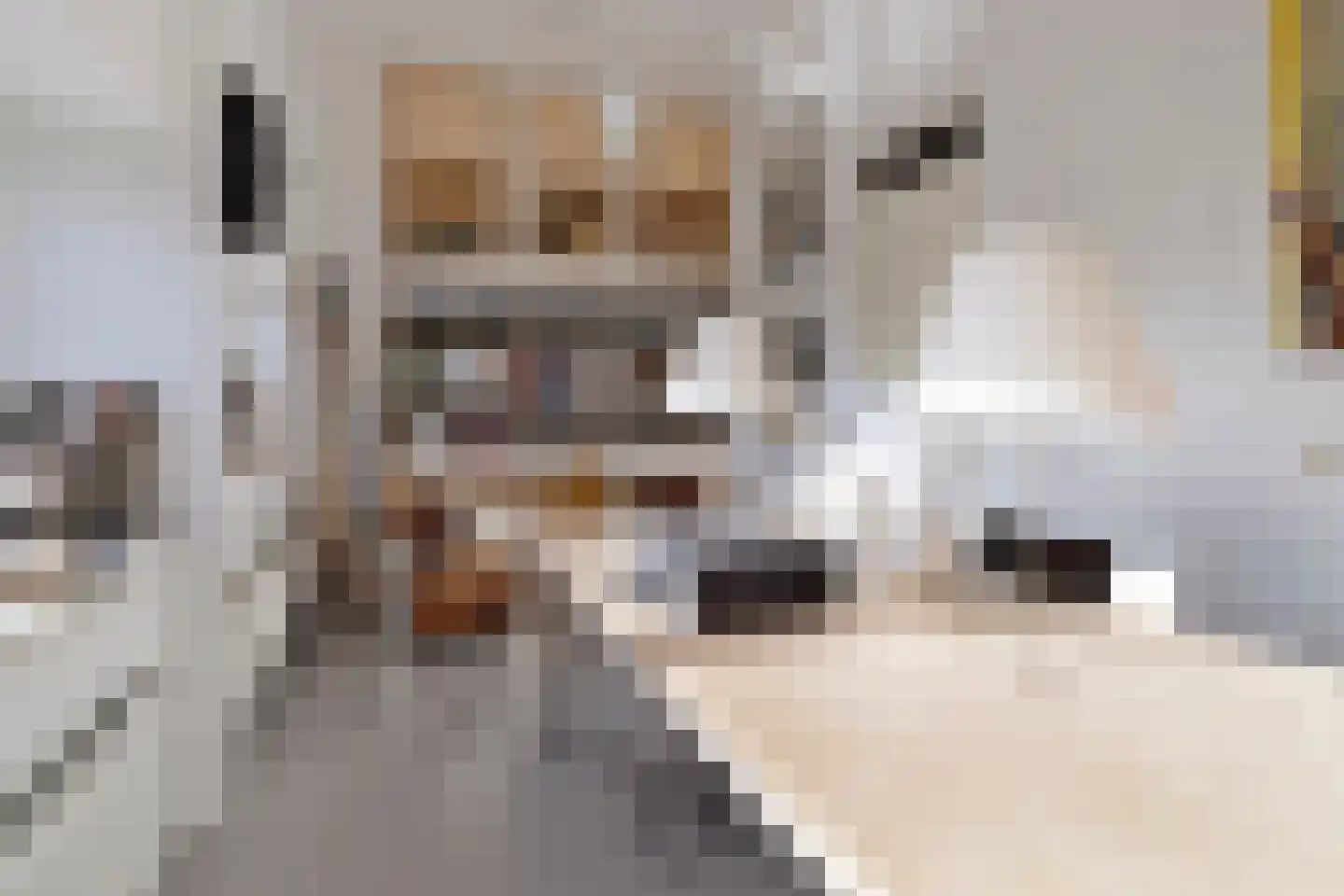 Westzijde 213 F 9 Zaandam thumbnail 14