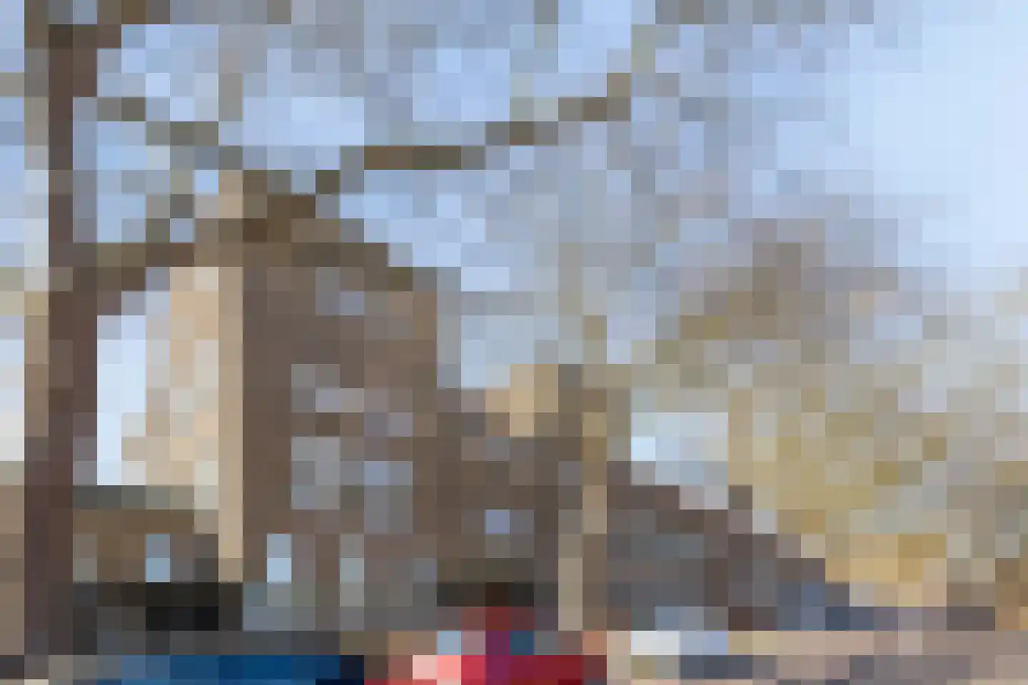 Westzijde 213 F 9 Zaandam thumbnail 21