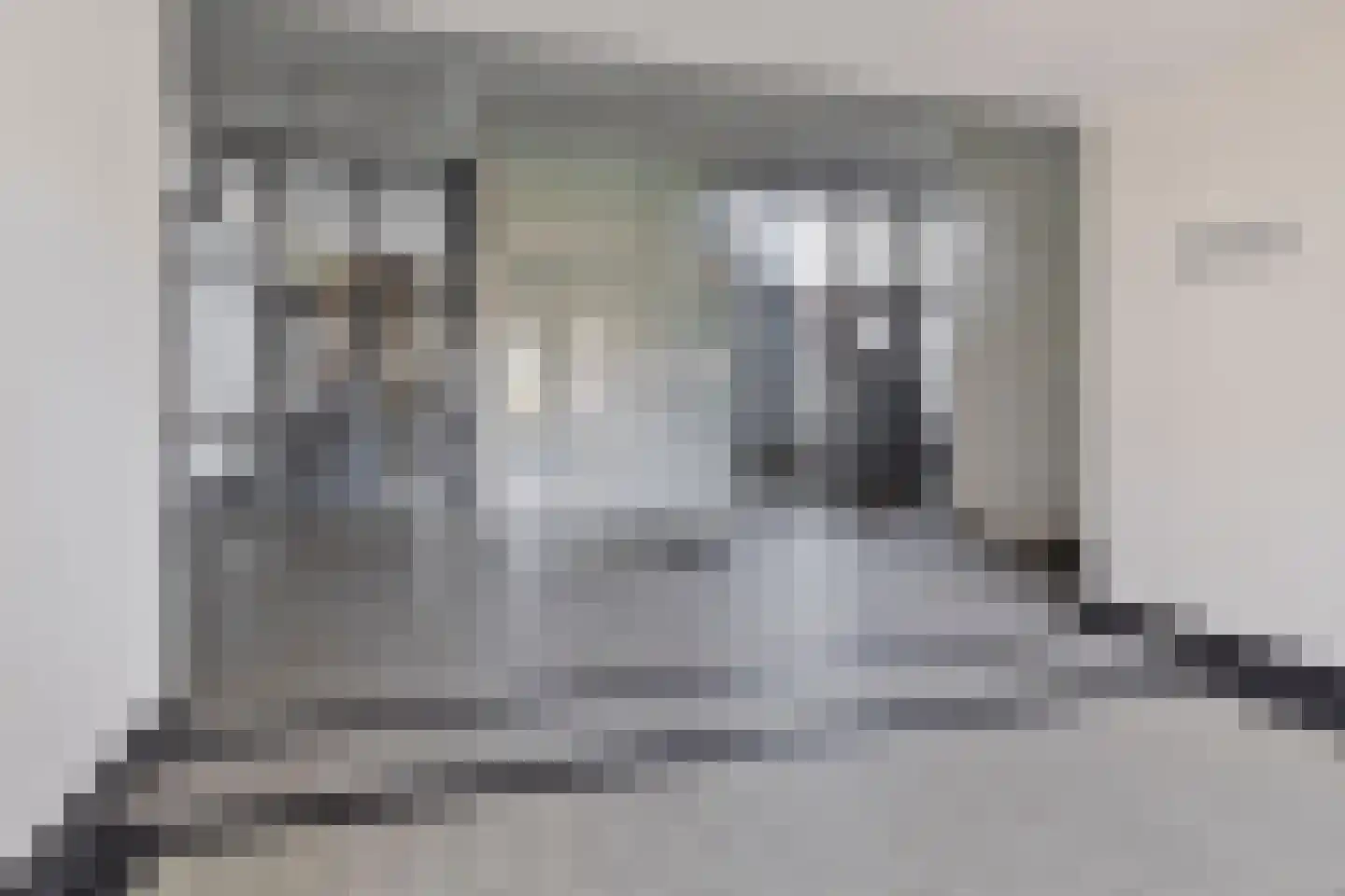 Westzijde 213 F 9 Zaandam thumbnail 23