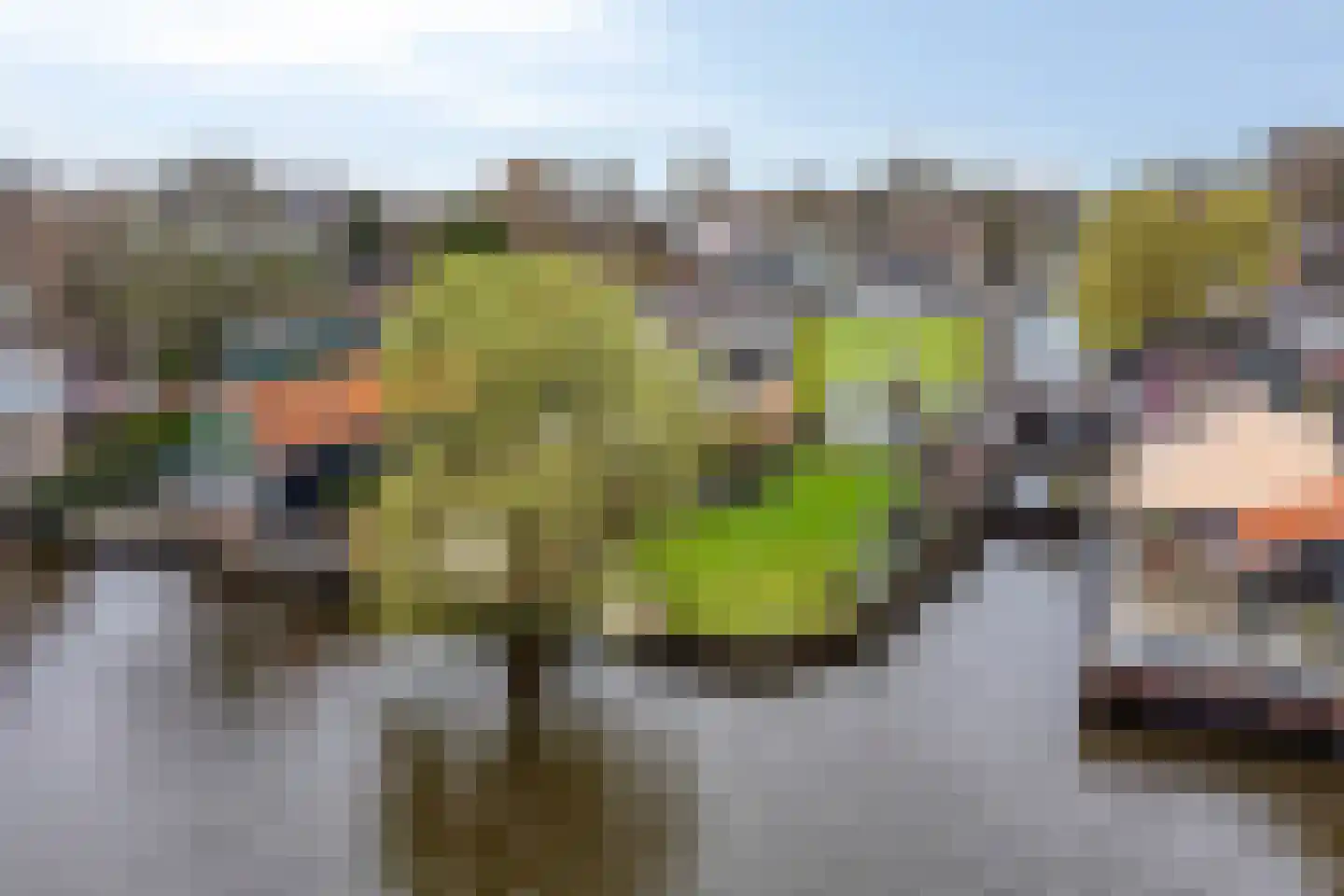 Westzijde 214 dans Zaandam