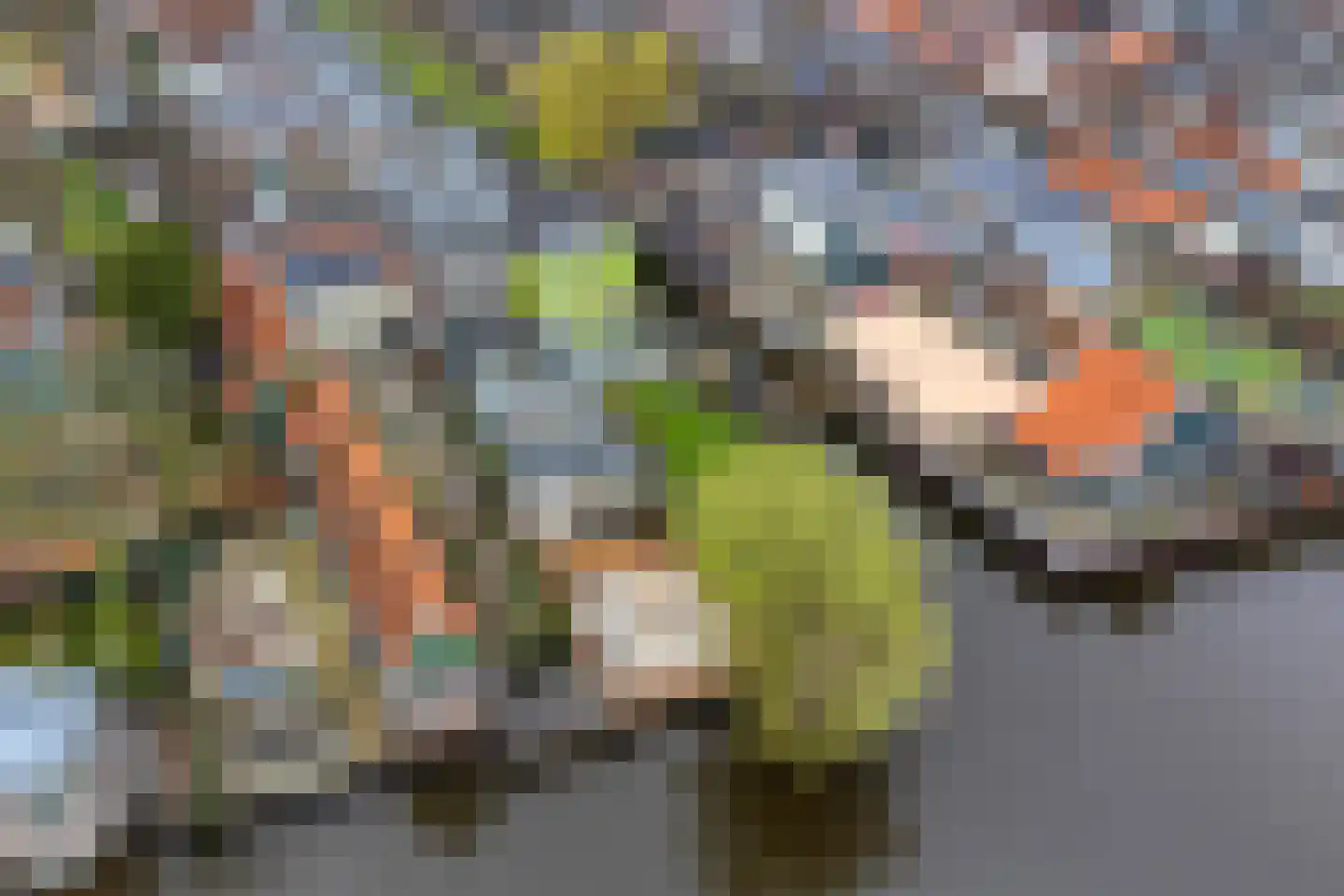 Westzijde 214 Zaandam thumbnail 21