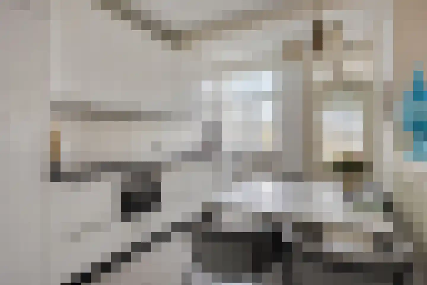Westzijde 214 Zaandam thumbnail 9