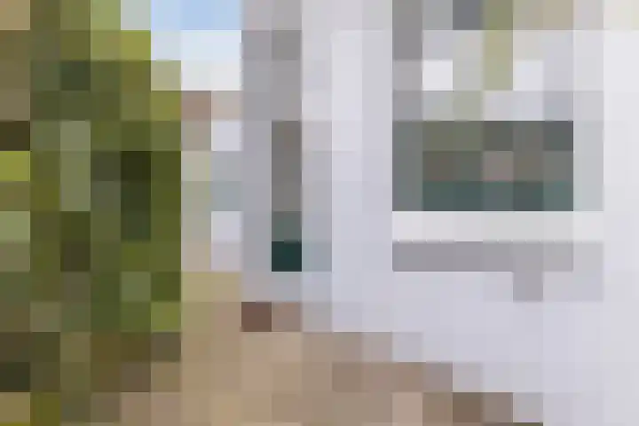 Westzijde 237 C Zaandam thumbnail 27