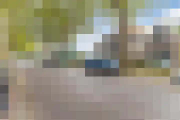 Westzijde 237 C Zaandam thumbnail 32