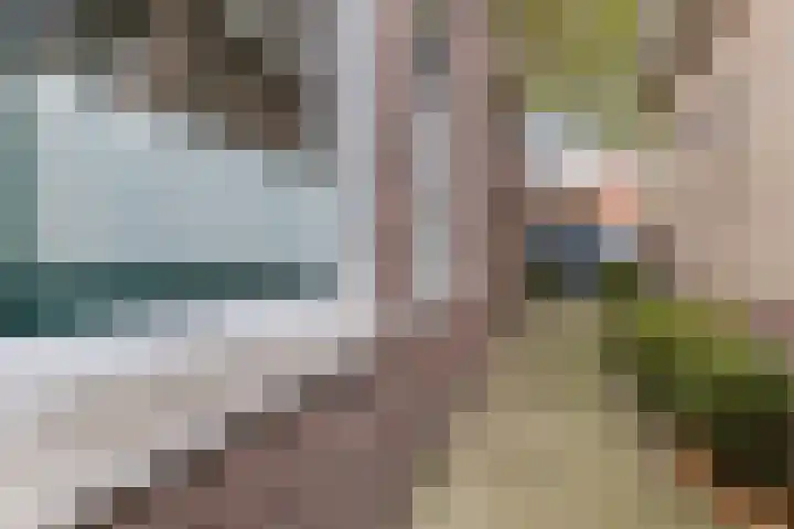 Westzijde 237 C Zaandam thumbnail 35