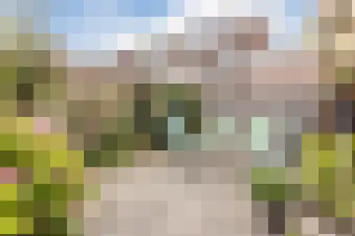 Westzijde 237 C Zaandam thumbnail 4