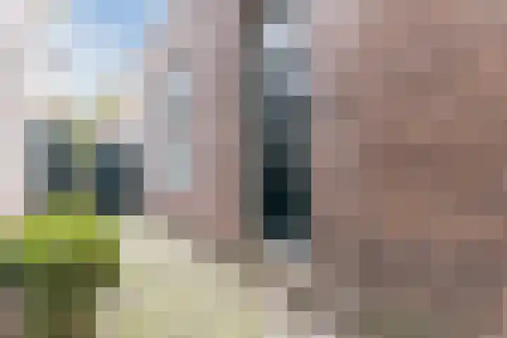 Westzijde 237 C Zaandam thumbnail 6