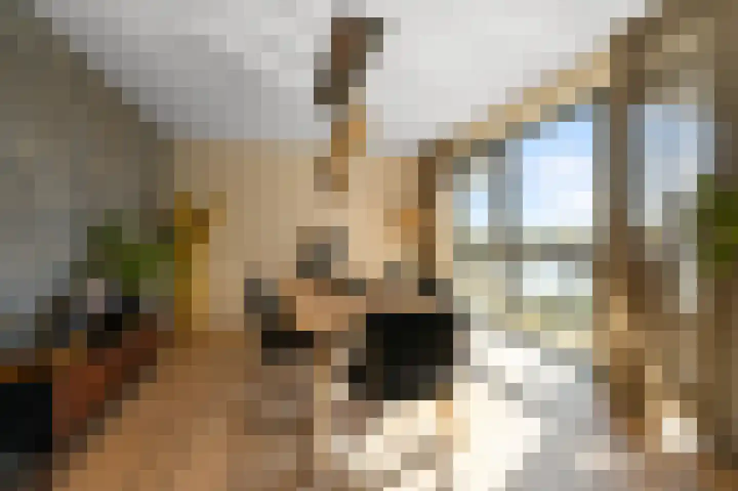 Westzijde 272 K Zaandam thumbnail 14
