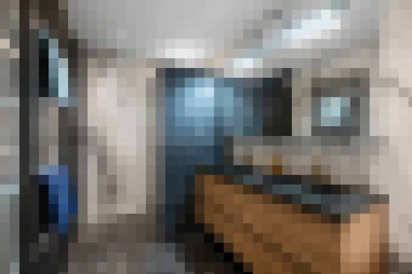 Westzijde 272 K Zaandam thumbnail 37