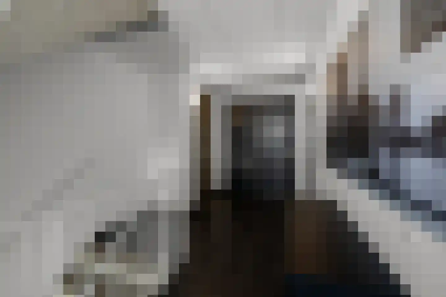 Westzijde 272 K Zaandam thumbnail 9