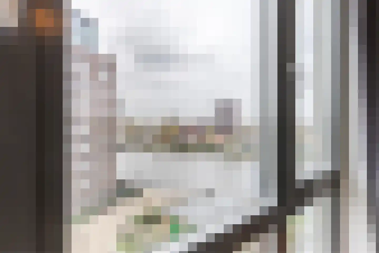 Westzijde 272 N Zaandam thumbnail 29