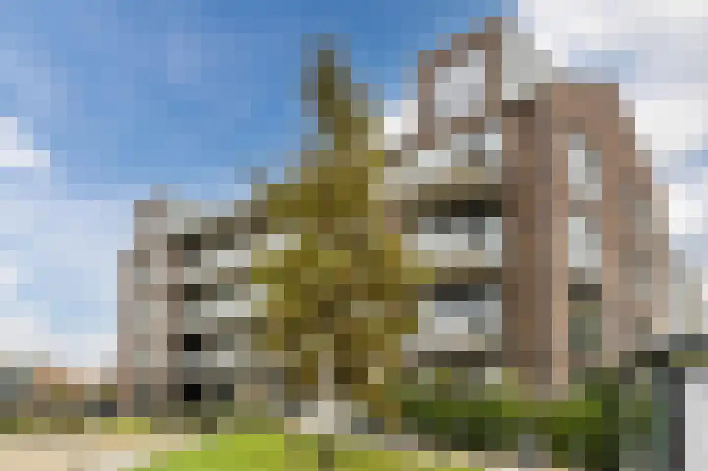 Westzijde 272 N Zaandam thumbnail 58