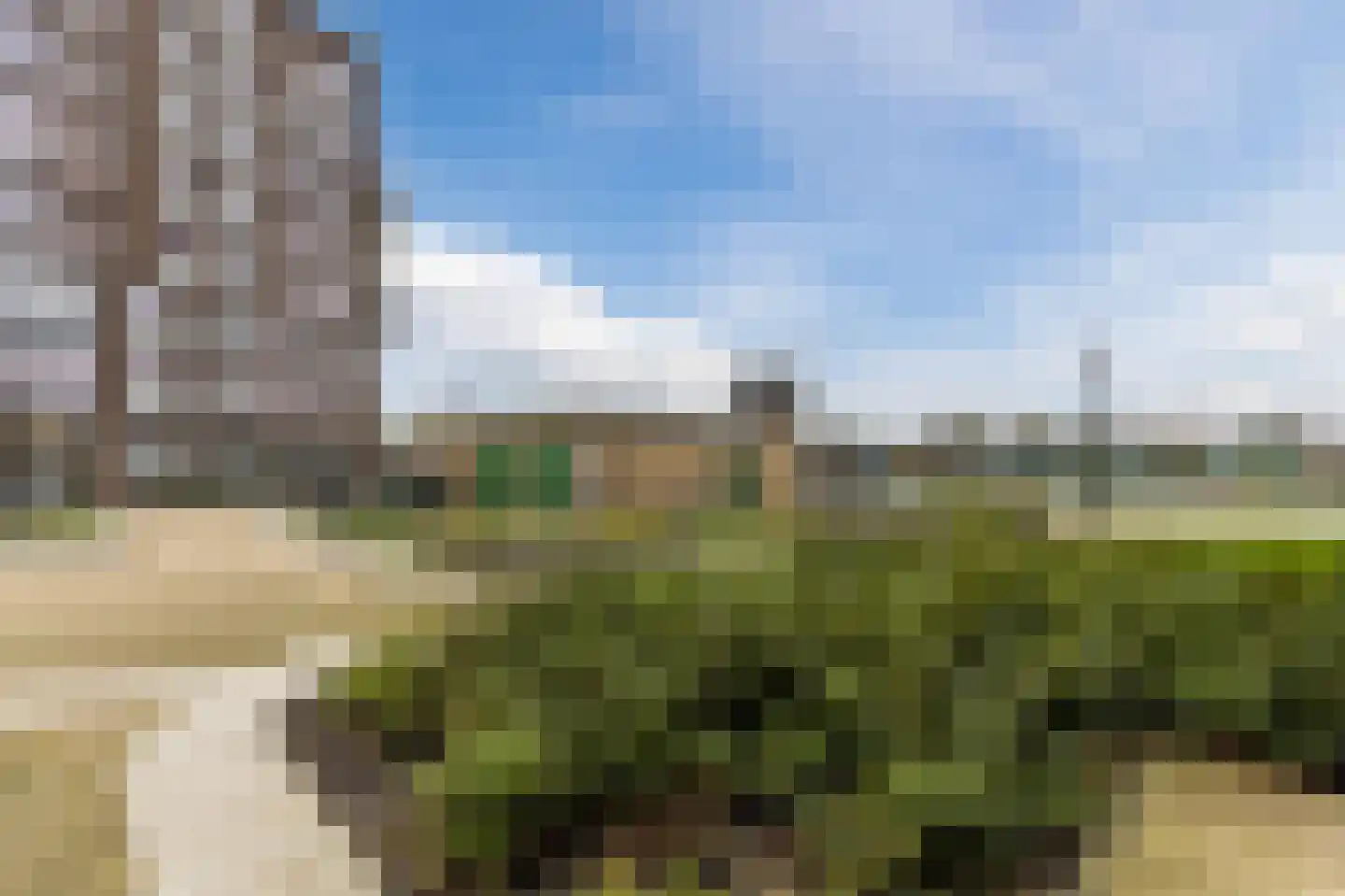 Westzijde 272 N Zaandam thumbnail 59