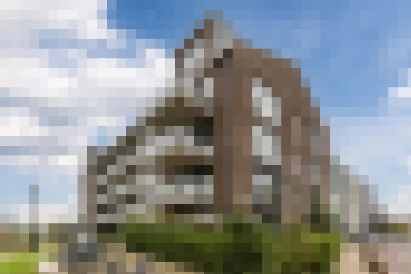 Westzijde 272 N Zaandam thumbnail 61