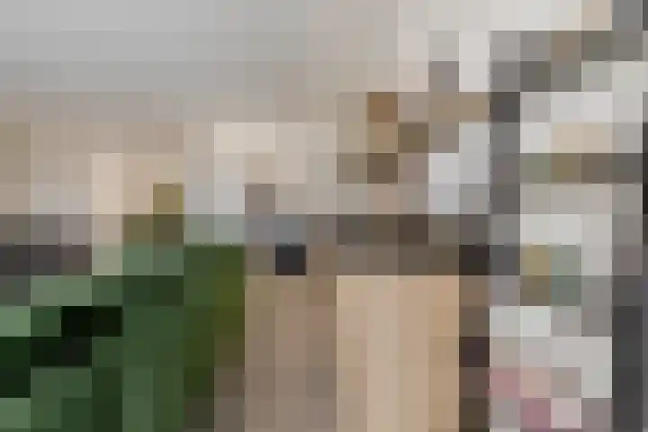 Westzijde 356 Zaandam thumbnail 21