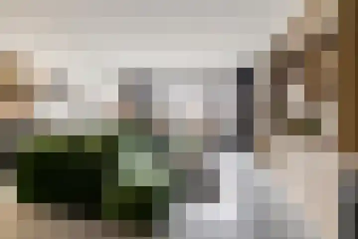 Westzijde 356 Zaandam thumbnail 5
