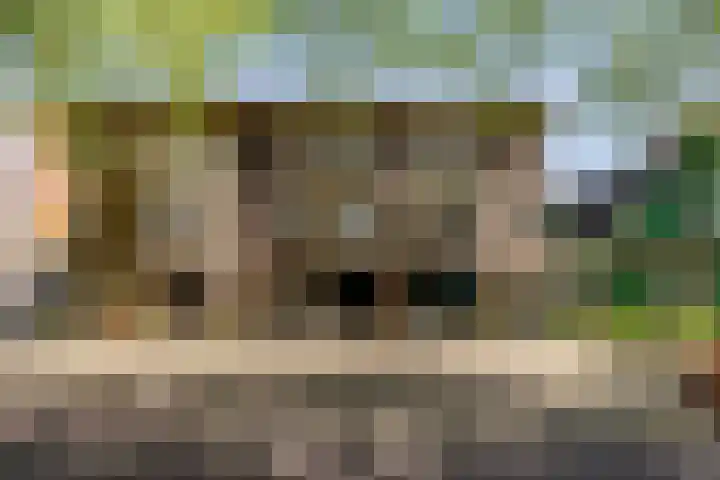 Westzijde 356 Zaandam thumbnail 7