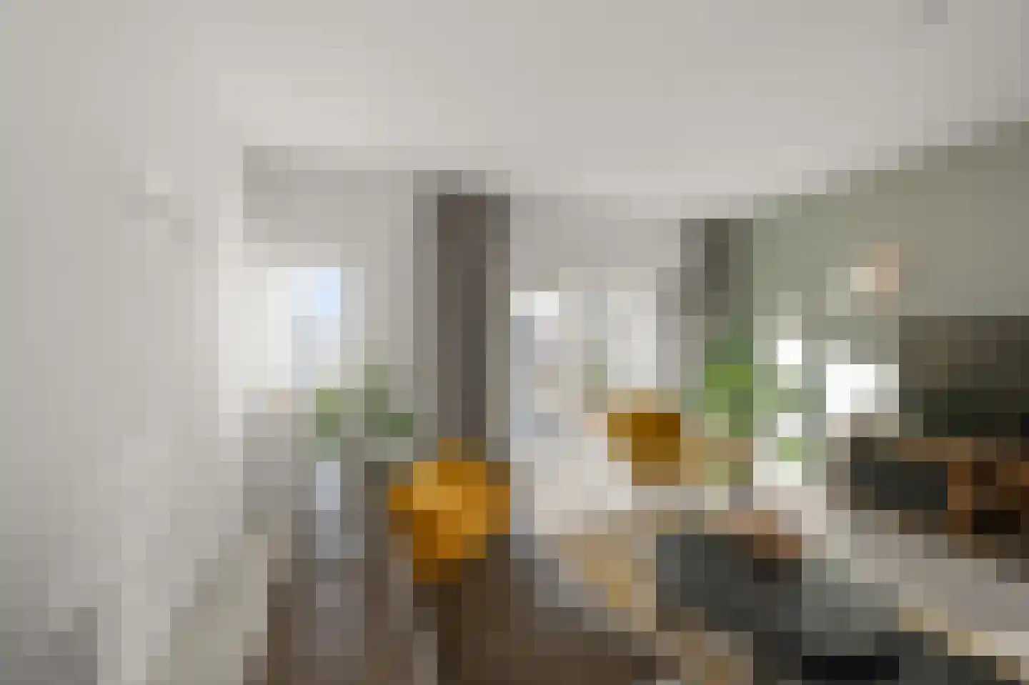 Westzijde 40 A Zaandam thumbnail 8