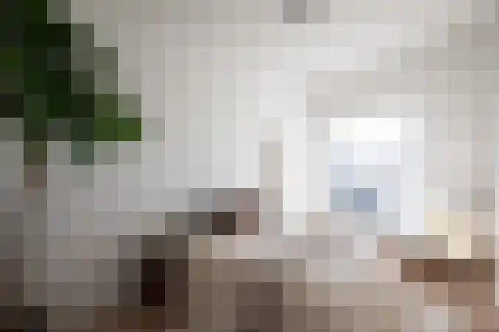 Westzijde 406 F Zaandam thumbnail 7