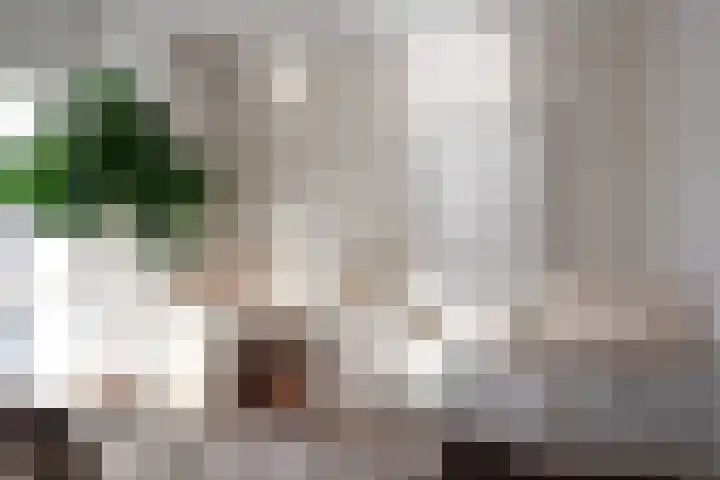 Westzijde 406 F Zaandam thumbnail 8
