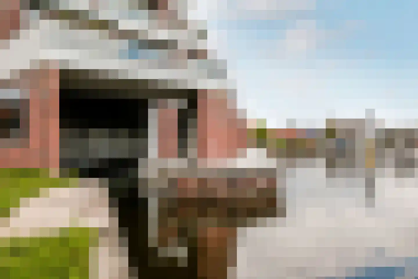 Westzijde 442 Zaandam thumbnail 29