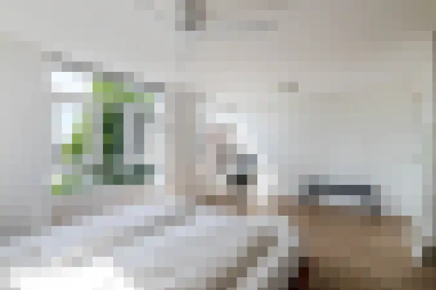Westzijde 474 Zaandam thumbnail 24