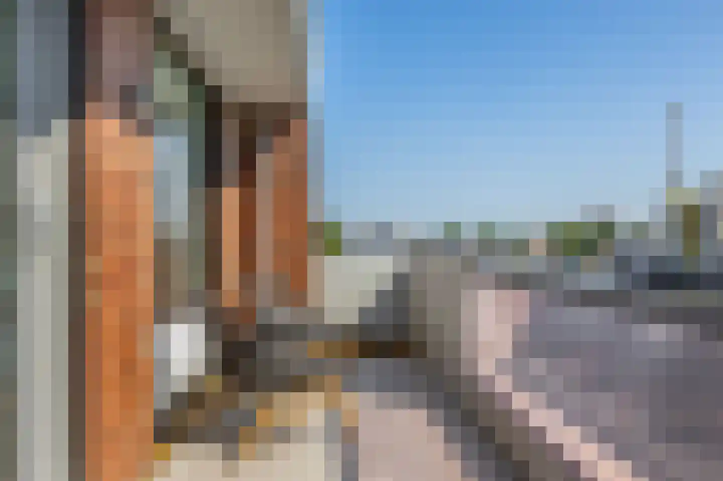 Westzijde 474 Zaandam thumbnail 31