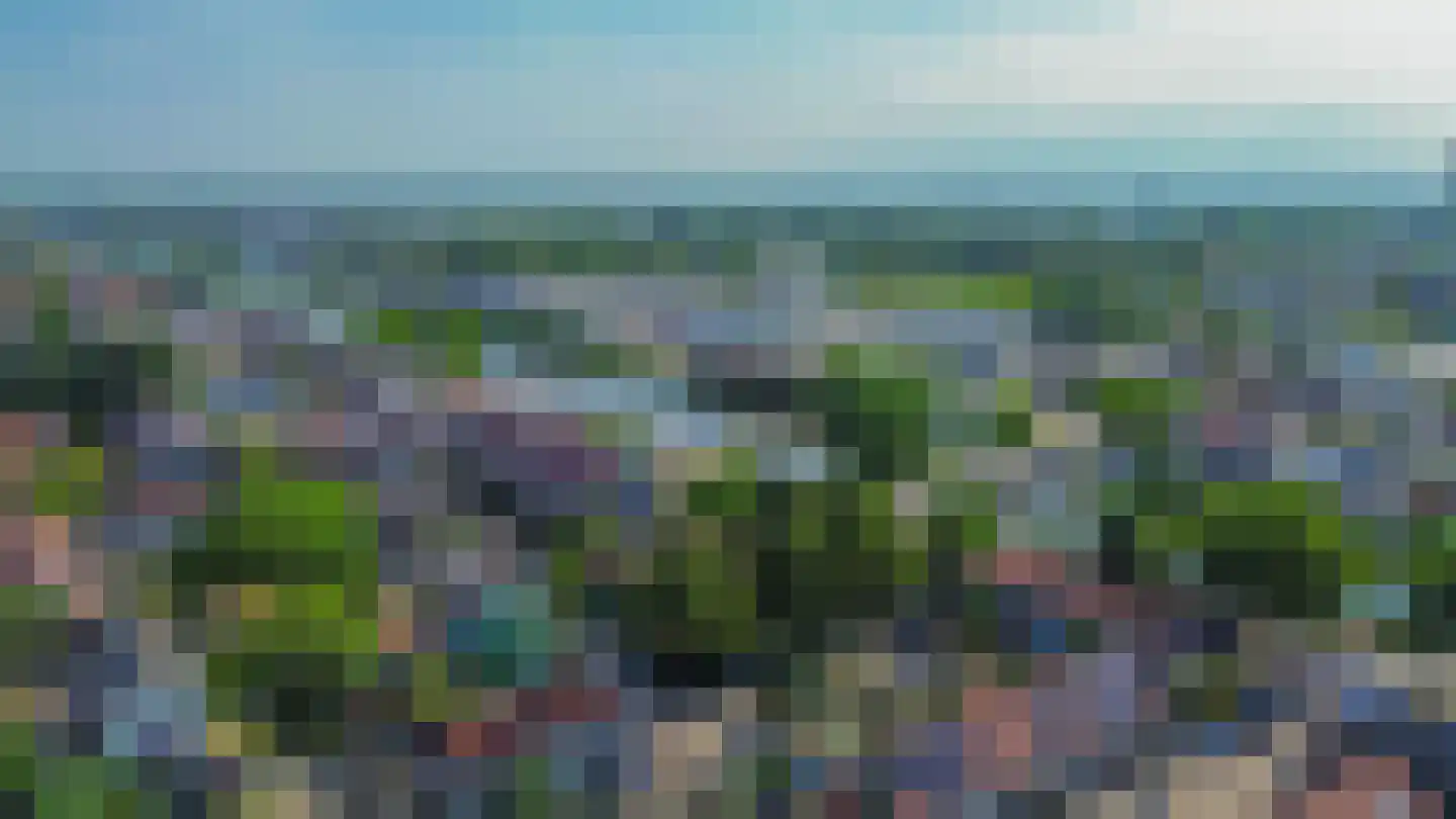 Westzijde 474 Zaandam thumbnail 41
